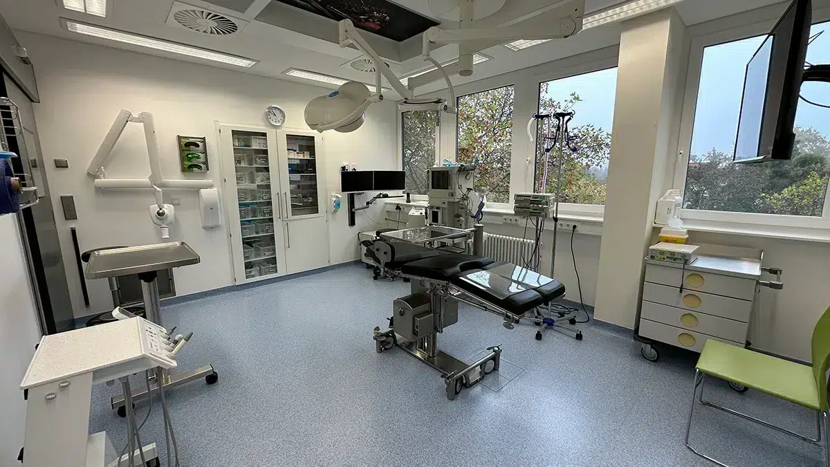 Praxis – Bella & Dent – Zentrum für Implantologie und Ästhetik - Bella & Dent Hanau